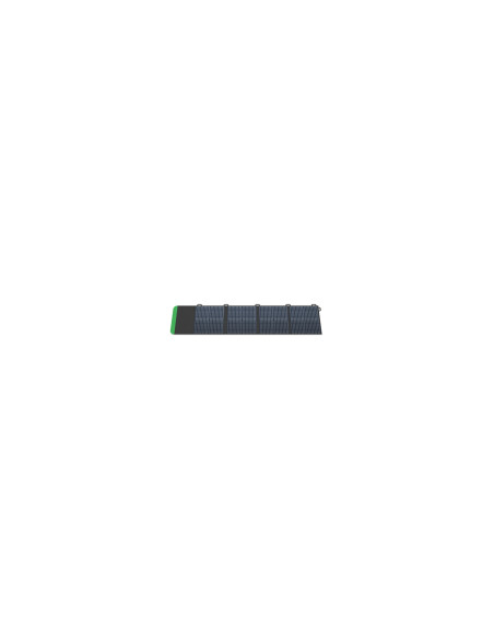 APC PSP100 placa solar 100 W Silicio monocristalino