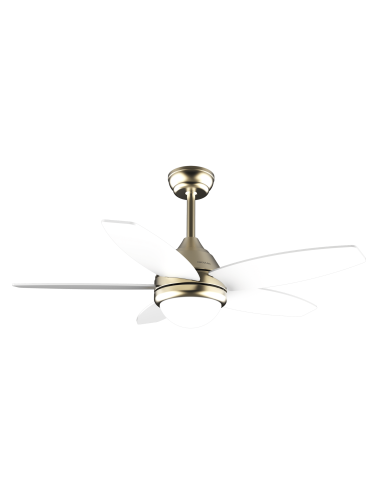 EnergySilence Aero 4200 GoldLightWood