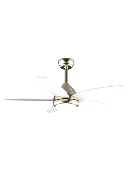EnergySilence Aero 4200 GoldLightWood