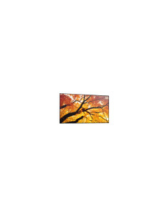 Sharp MultiSync M432 Pantalla plana para señalización digital 108 cm 2