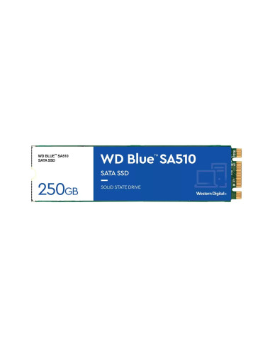 Western Digital Blue SA510 M.2 250 GB Serial ATA III