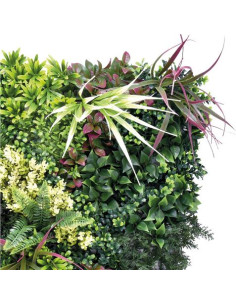 JARDIN VERTICAL 50X50CM SERIE VERDIVIA SUNGARDEN 2