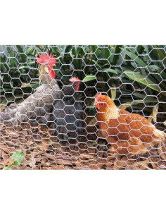MALLA GALLINERO HEXAGONAL 13X0.7MM 1X50 METROS SUNGARDEN 2