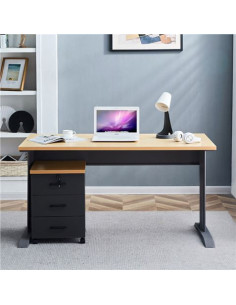MESA DE ESCRITORIO MS700 140X70X75CM + CAJONERA MUVIP 2