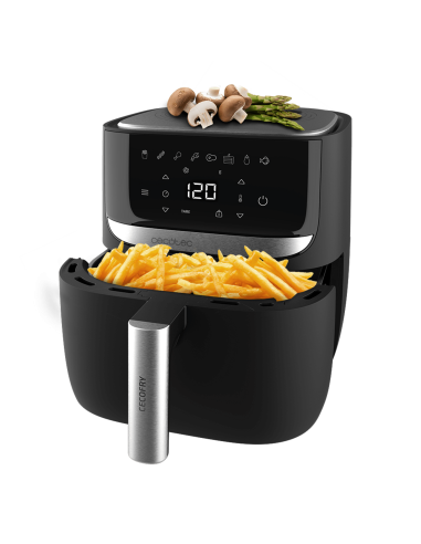 Cecofry Advance Precision
