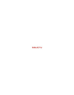 Salicru SPS 900 ONE BL IEC ACCS sistema de alimentación