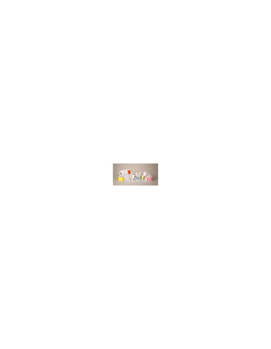 Zebra DT Label Etiqueta 51x25mm