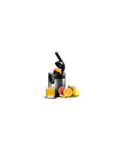 Cecotec Xqueeze RetroJuice 600 Steel Licuadora centrífuga 600 W Negro, Metálico