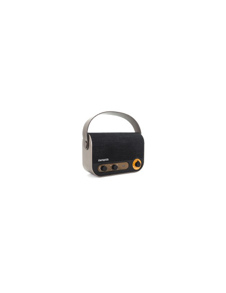 Aiwa RBTU-600 altavoz portátil o de fiesta Altavoz monofónico portátil Beige, Negro 5 W