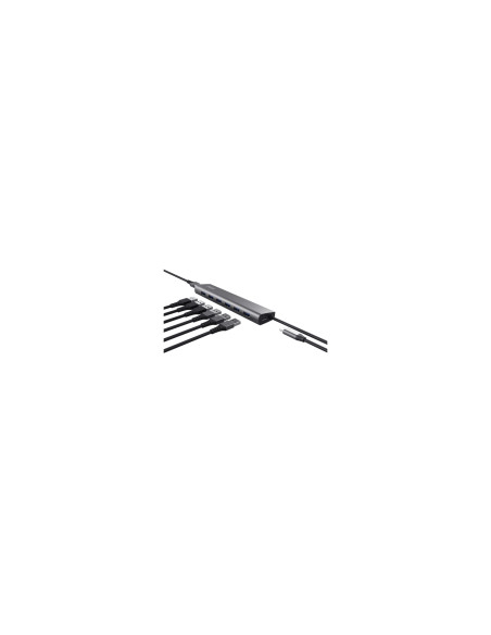 Trust Halyx USB 3.2 Gen 1 (3.1 Gen 1) Type-A 5000 Mbit/s Plata