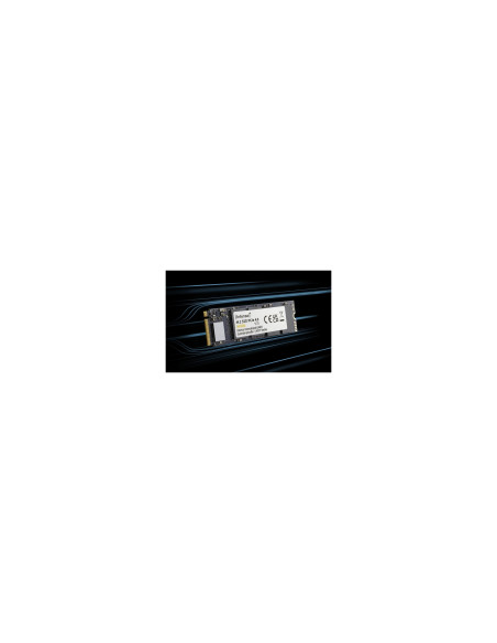Intenso 3836460 unidad de estado sólido M.2 1 TB PCI Express 4.0 NVMe