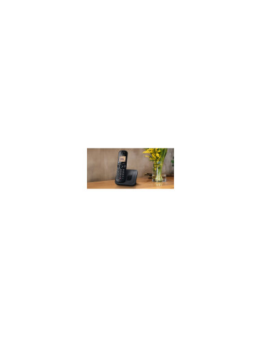 Panasonic KX-TGC250 Teléfono DECT Identificador de llamadas Negro