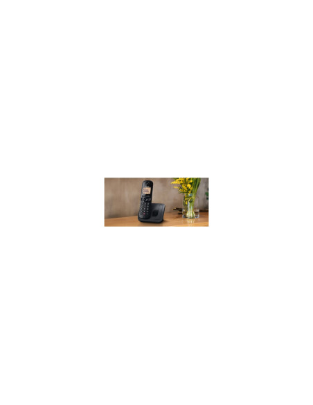 Panasonic KX-TGC250 Teléfono DECT Identificador de llamadas Negro