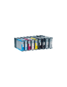 Cartucho Epson Cartucho T614100 negro foto C13T614100