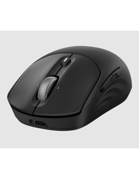HP Ratón inalámbrico recargable 705