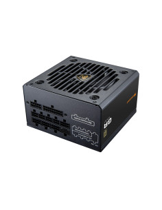 COUGAR CGRGDN-750 unidad de fuente de alimentación 750 W 20+4 pin ATX