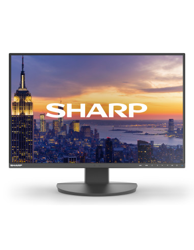 Sharp MultiSync EA242W pantalla para PC 61 cm (24") 1920 x 1200