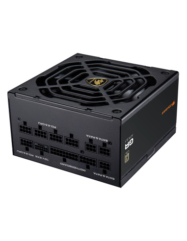 COUGAR CGRGDN-1000 unidad de fuente de alimentación 1000 W 20+4 pin
