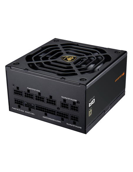 COUGAR CGRGDN-1000 unidad de fuente de alimentación 1000 W 20+4 pin