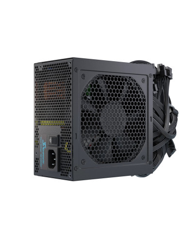 Seasonic Netzteil 650W G12 GC-650 80+Gold unidad de fuente de alimentación