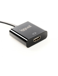 iggual IGG318041 adaptador de cable de vÍ­deo 0,25 m DisplayPort HDMI