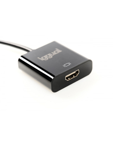 iggual IGG318041 adaptador de cable de vÍ­deo 0,25 m DisplayPort HDMI