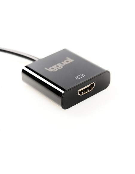 iggual IGG318041 adaptador de cable de vÍ­deo 0,25 m DisplayPort HDMI