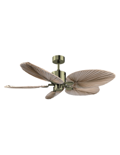 EnergySilence Aero 5200 Natural Palm 2
