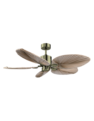 EnergySilence Aero 5200 Natural Palm