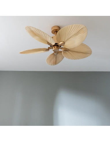 EnergySilence Aero 5200 Natural Palm