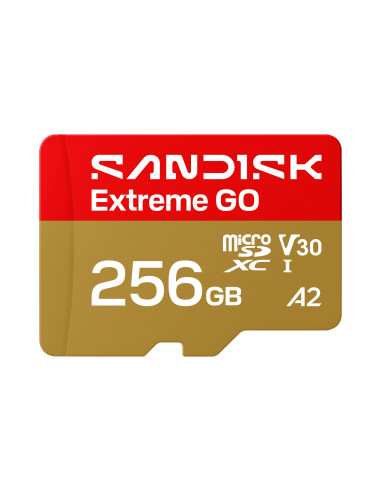 SanDisk Extreme GO 256 GB MicroSDXC UHS-I