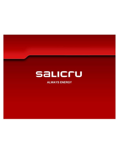 BATERIA UPS SALICRU 9AH/12V