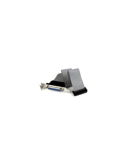 StarTech.com Adaptador de 40cm Header Cabezal Bracket Paralelo Perfil