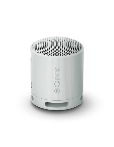 Sony SRS-XB100 Altavoz monofónico portátil Gris