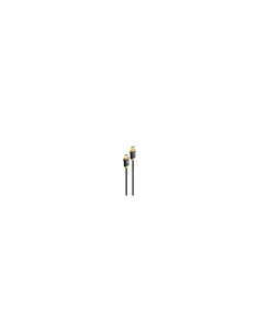 Gembird CCBP-HDMI8K-AOC-30M cable HDMI HDMI tipo A (Estándar) Negro