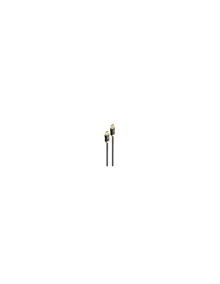 Gembird CCBP-HDMI8K-AOC-30M cable HDMI HDMI tipo A (Estándar) Negro