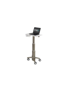 Ergotron C50-1100-0 soporte para ordenador portátil Gris 39,6 cm (15.6")