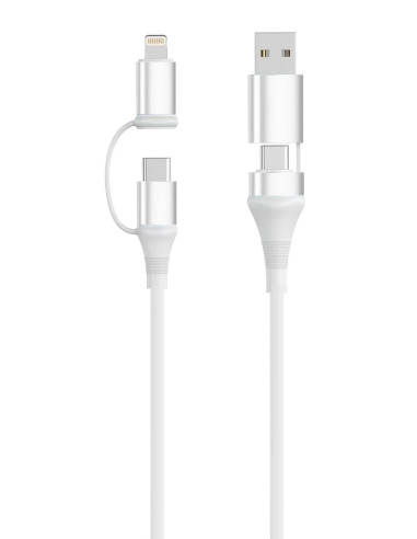 Ewent EC1075 cable USB USB 2.0 1 m USB A/USB C USB C/Lightning 0,48