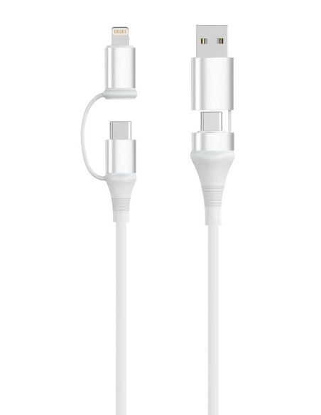 Ewent EC1075 cable USB USB 2.0 1 m USB A/USB C USB C/Lightning 0,48