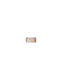 Zebra DT Label Etiqueta 51x25mm