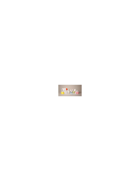 Zebra DT Label Etiqueta 51x25mm