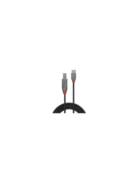 Lindy 36941 cable USB USB 2.0 1 m USB C USB B Negro