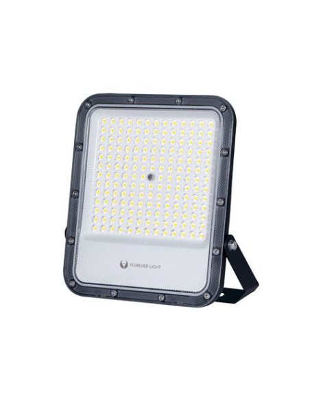 FOCO LED PROXIM+ 100W | 4000K FOREVER