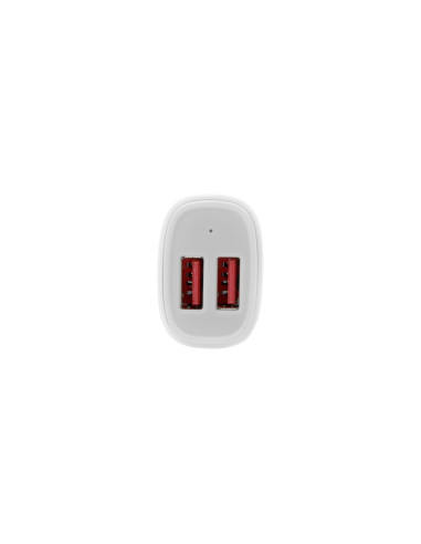 StarTech.com USB2PCARWHS cargador de coche USB 2.0 24w 2.4a blanco