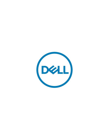 DELL 161-BBZU disco duro interno 1 TB 7200 RPM 3.5" Serial ATA III