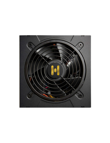 FSP Hydro GT PRO 1000W unidad de fuente de alimentación 24-pin ATX