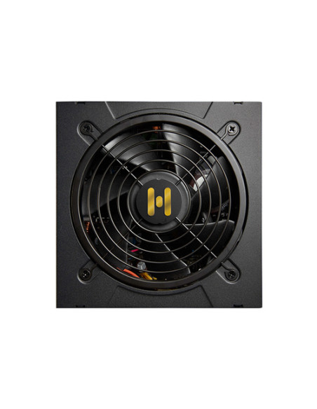 FSP Hydro GT PRO 1000W unidad de fuente de alimentación 24-pin ATX