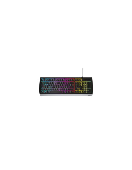 GENESIS NKG-1817 teclado USB QWERTY Portugués