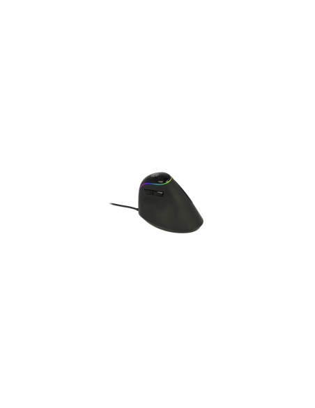 DeLOCK 12597 ratón mano derecha RF inalámbrico 2500 DPI