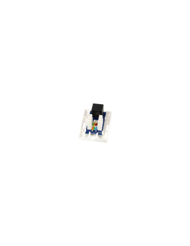 Equip 235113 caja de tomacorriente RJ-45 Blanco
